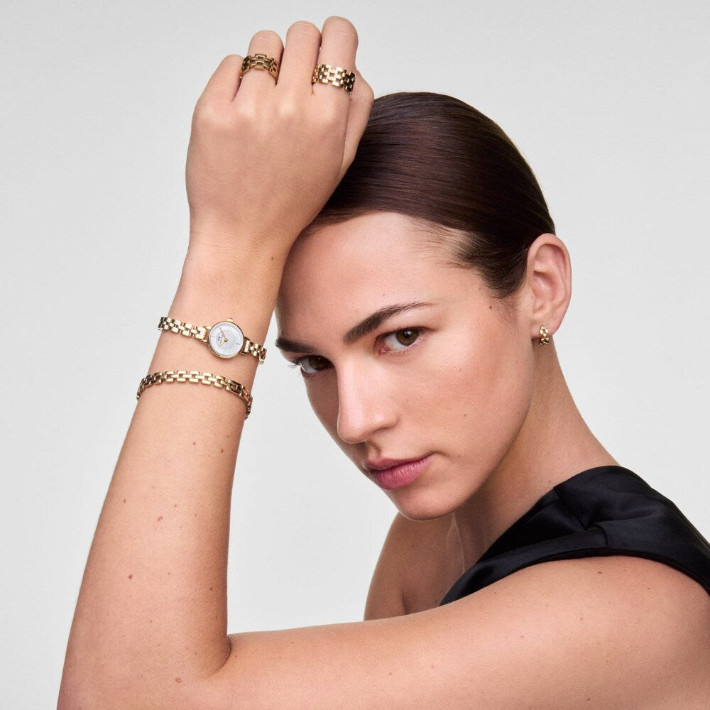 Orologio Daniel Wellington Petite Mini Arc 3 LInk Gold White